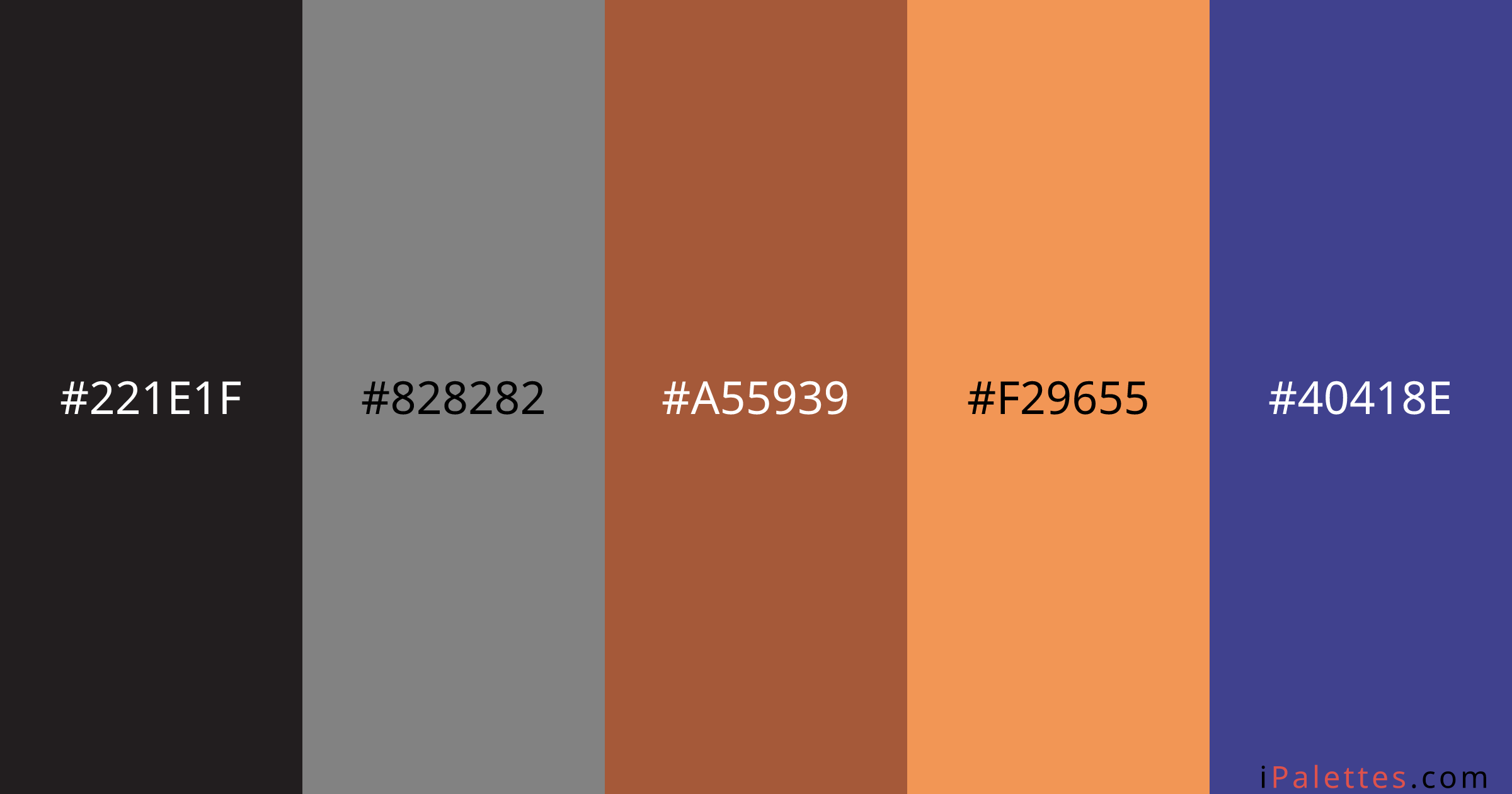 NES Color Palette and colors #221E1F #828282 #A55939 #F29655 #40418E ...
