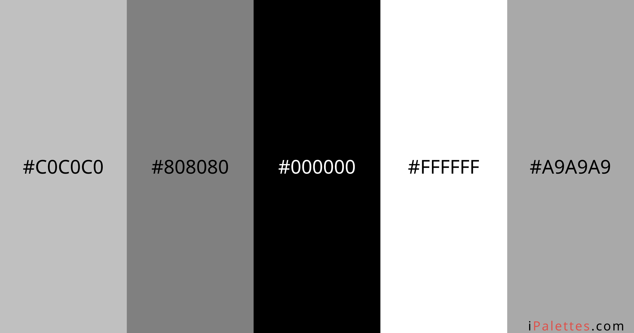 Paint color match Color Palette and colors #C0C0C0 #808080 #000000 # ...