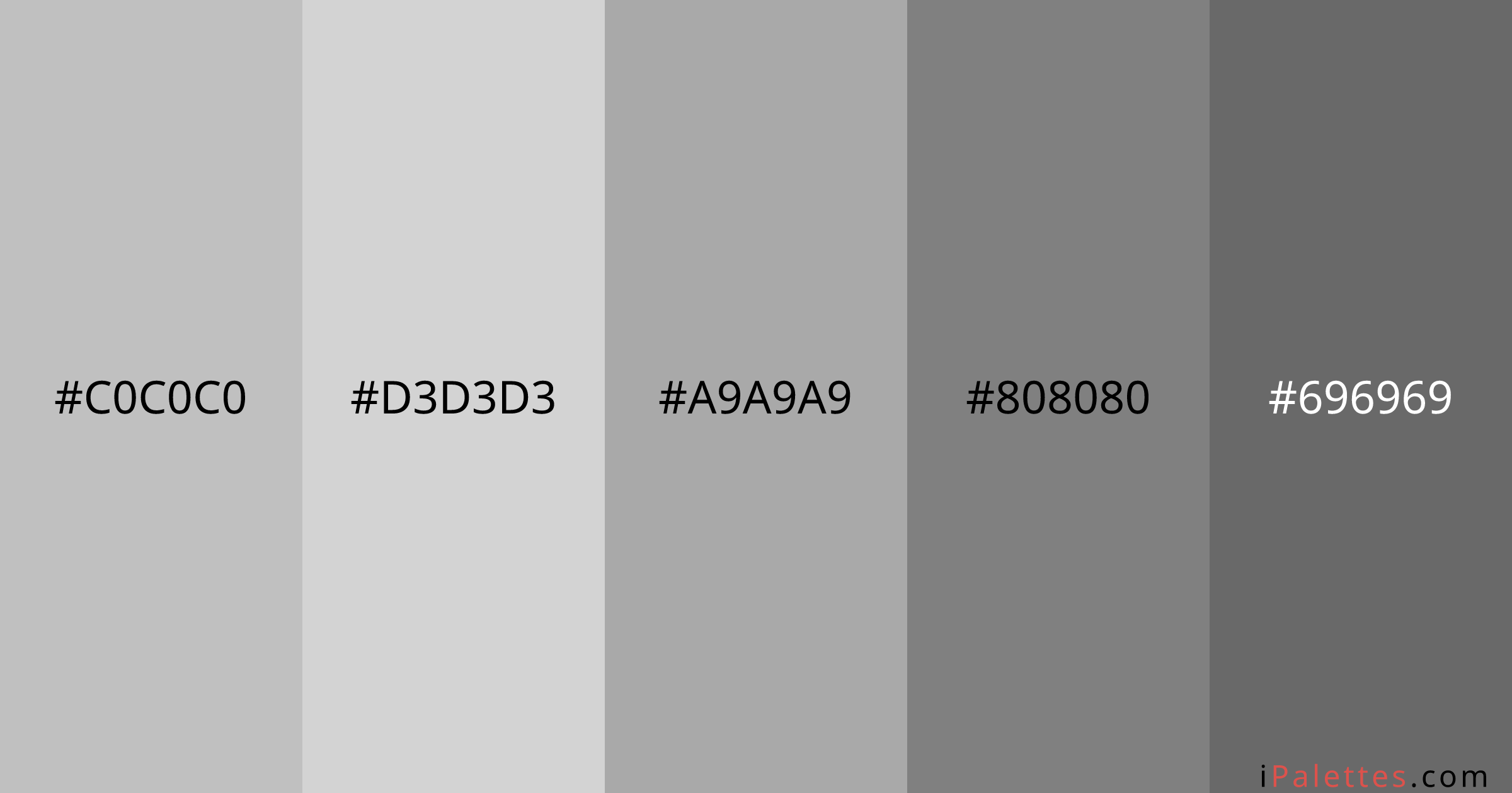 Braces Color Palette and colors #C0C0C0 #D3D3D3 #A9A9A9 #808080 #696969 ...